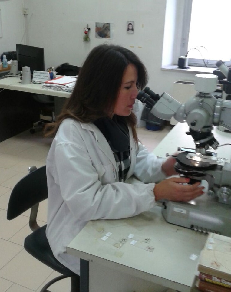 Aveta Microscopia