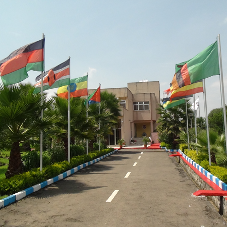 Front Addis abeba