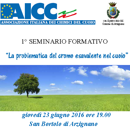 1 seminaio aicc